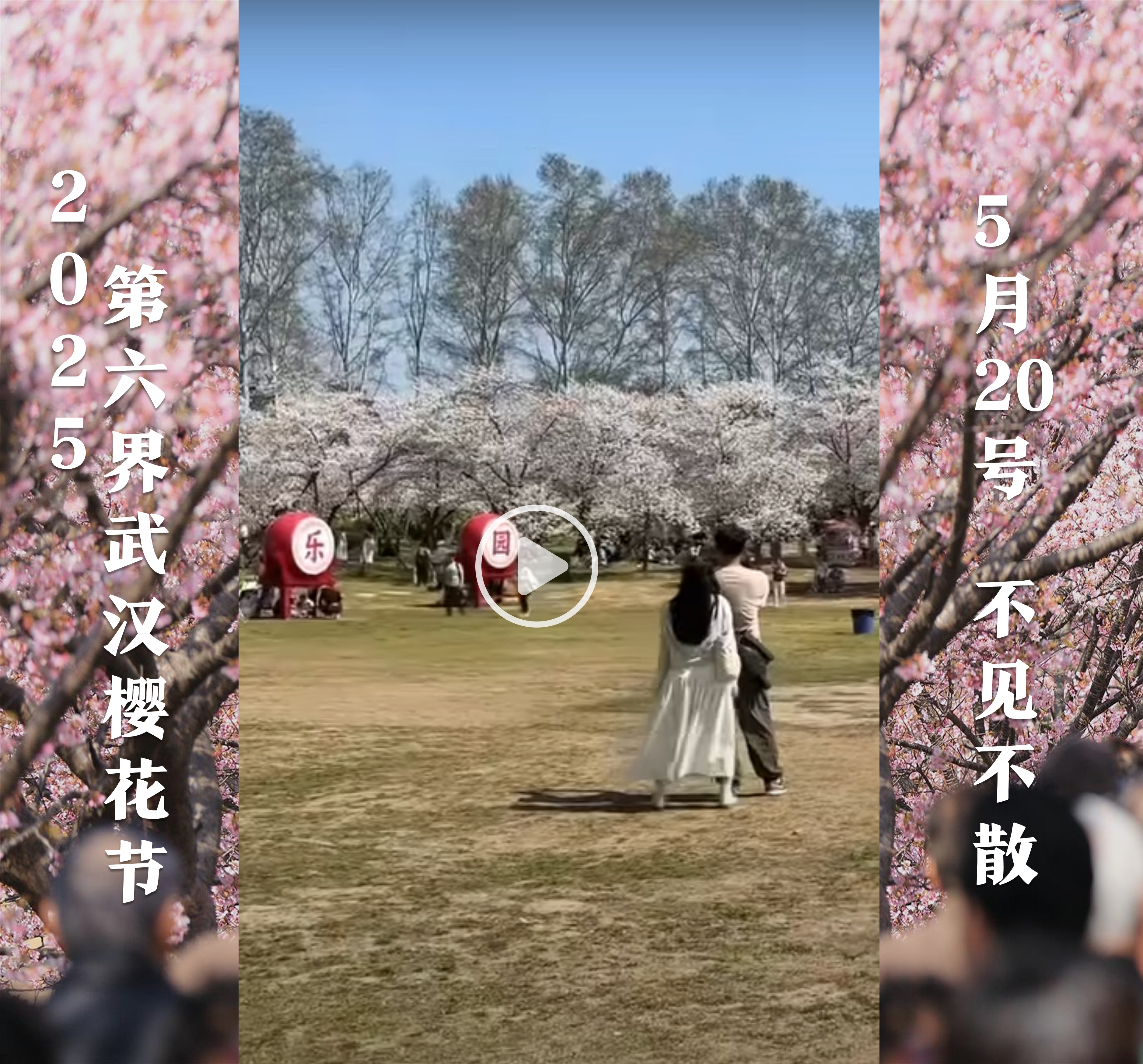 template preview image 左右边框模板